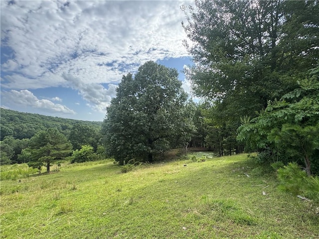 TBD NC-8216, Jasper, AR 72641 - photo 9