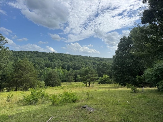 TBD NC-8216, Jasper, AR 72641 - photo 10