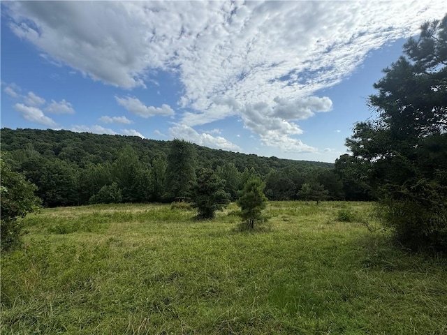 TBD NC-8216, Jasper, AR 72641 - photo 11