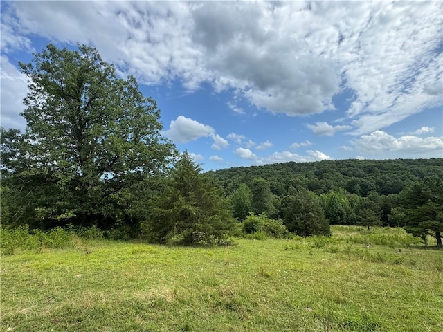 TBD NC-8216, Jasper, AR 72641 - photo 12