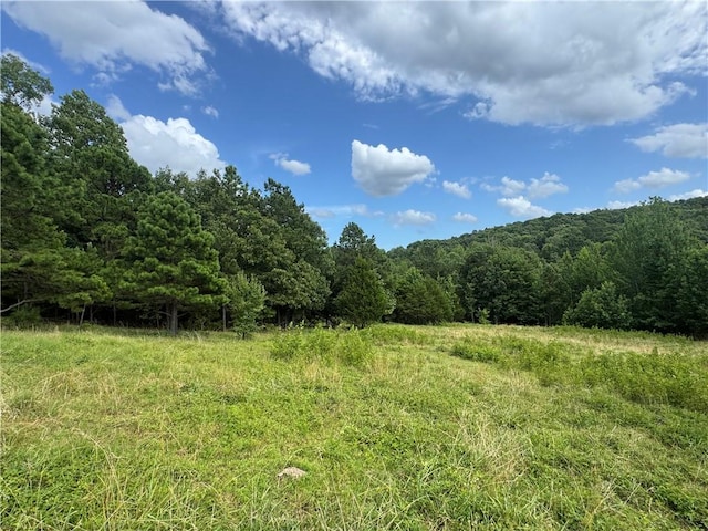 TBD NC-8216, Jasper, AR 72641 - photo 13
