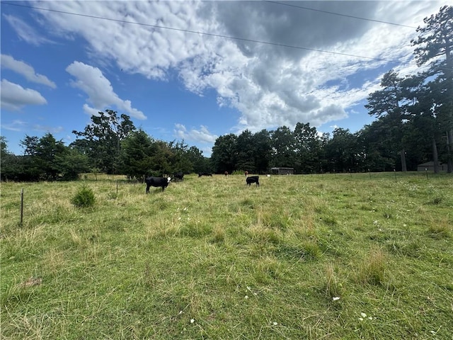 TBD NC-8216, Jasper, AR 72641 - photo 15