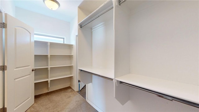1218 Bradley St, Centerton, AR 72719 - spacious closet featuring light colored carpet