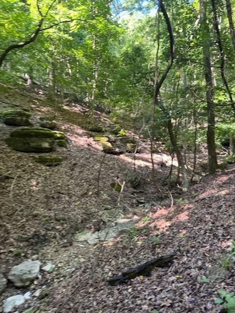 190 Edgewater Dr, Eureka Springs, AR 72631 - photo 7