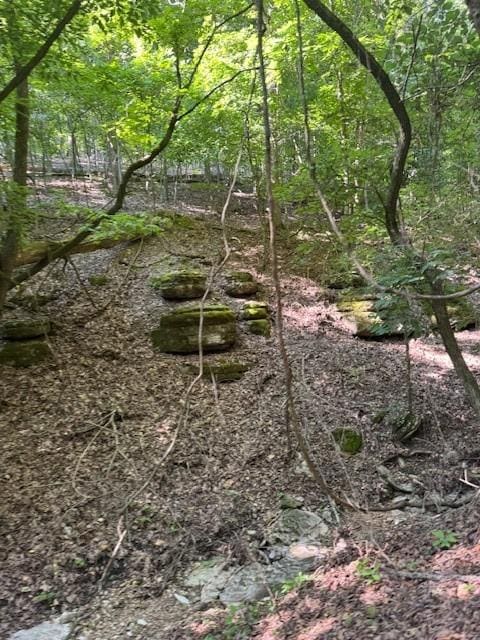 190 Edgewater Dr, Eureka Springs, AR 72631 - photo 8