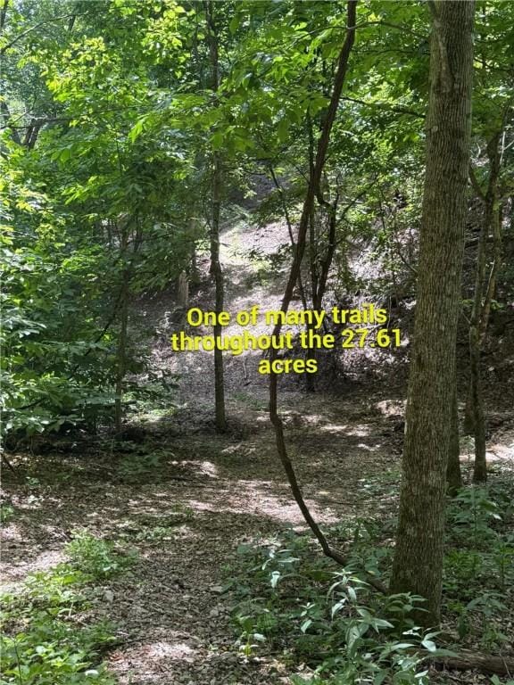 190 Edgewater Dr, Eureka Springs, AR 72631 - photo 22