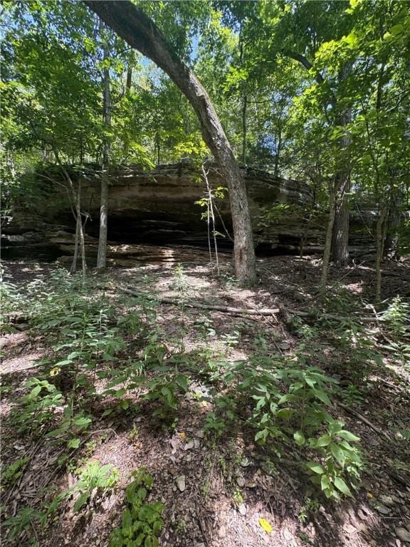 190 Edgewater Dr, Eureka Springs, AR 72631 - photo 23