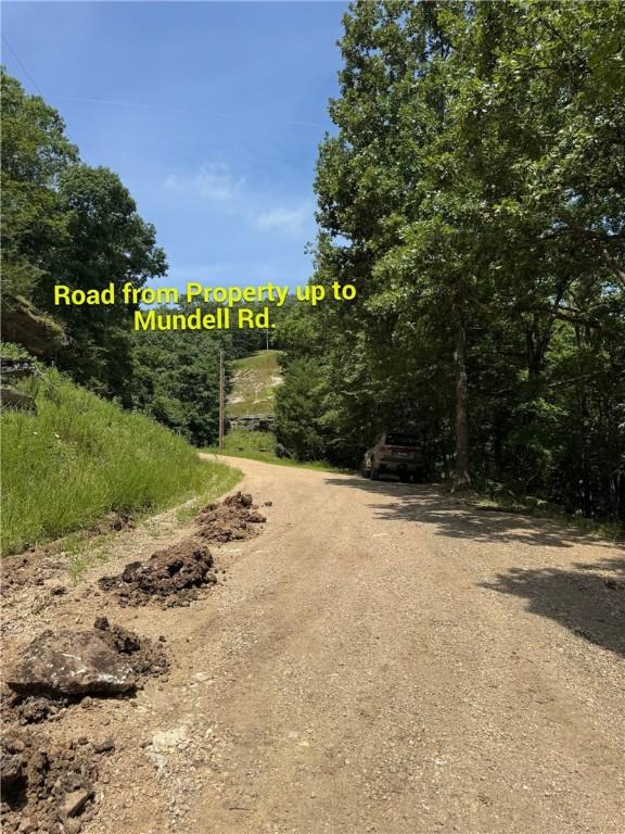 190 Edgewater Dr, Eureka Springs, AR 72631 - photo 24