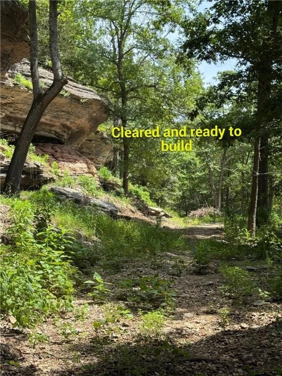 190 Edgewater Dr, Eureka Springs, AR 72631 - photo 26