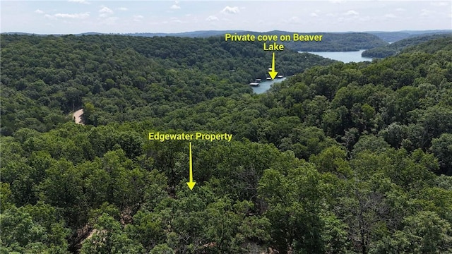 190 Edgewater Dr, Eureka Springs, AR 72631 - photo 27