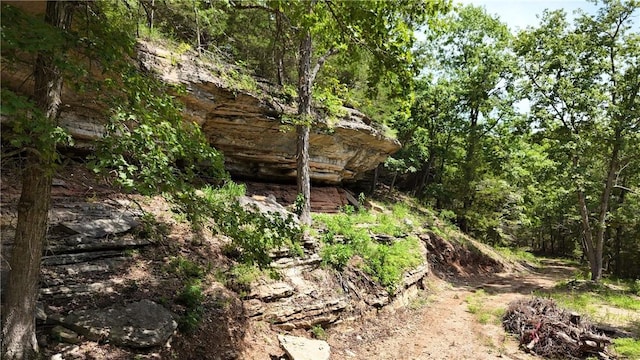 190 Edgewater Dr, Eureka Springs, AR 72631 - photo 31