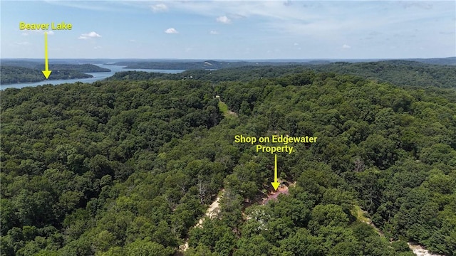 190 Edgewater Dr, Eureka Springs, AR 72631 - photo 1