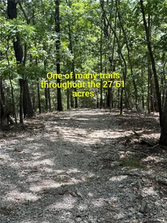 190 Edgewater Dr, Eureka Springs, AR 72631 - photo 11