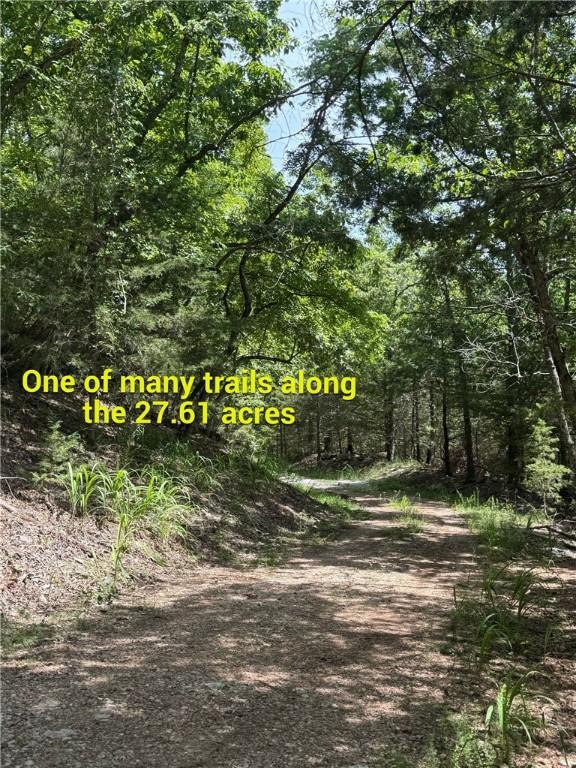 190 Edgewater Dr, Eureka Springs, AR 72631 - photo 13