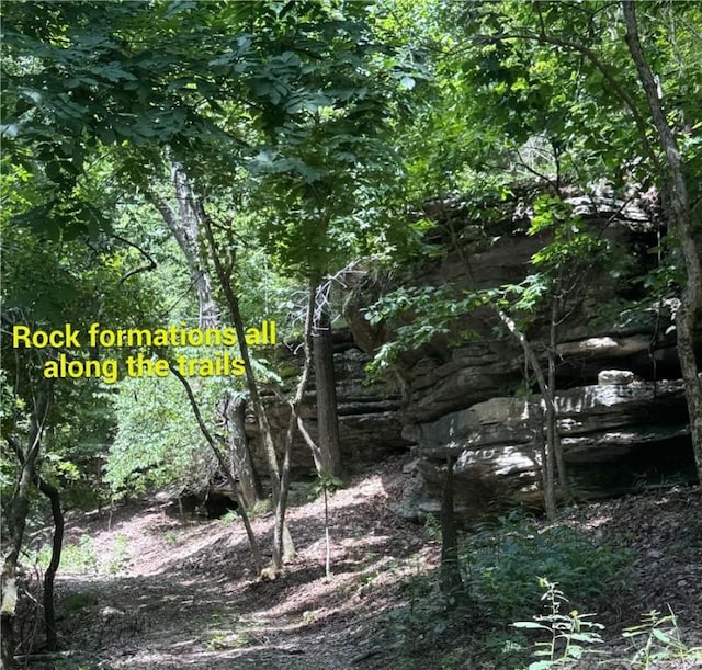 190 Edgewater Dr, Eureka Springs, AR 72631 - photo 14