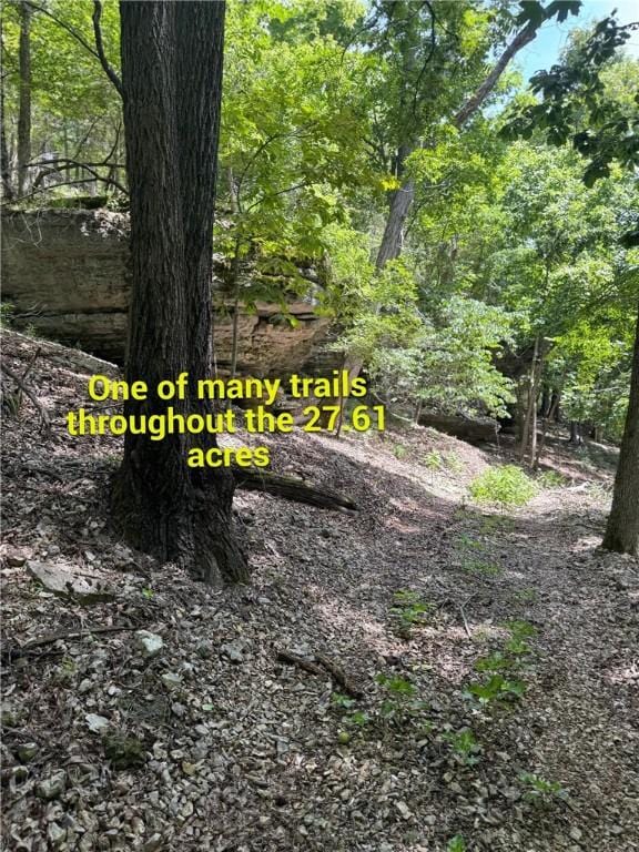 190 Edgewater Dr, Eureka Springs, AR 72631 - photo 16