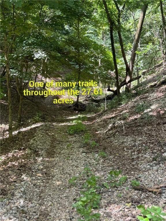 190 Edgewater Dr, Eureka Springs, AR 72631 - photo 17
