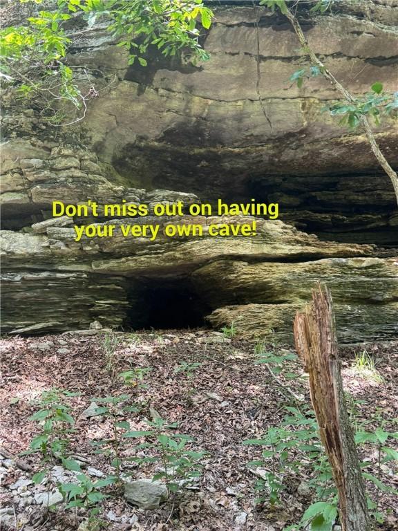 190 Edgewater Dr, Eureka Springs, AR 72631 - photo 19