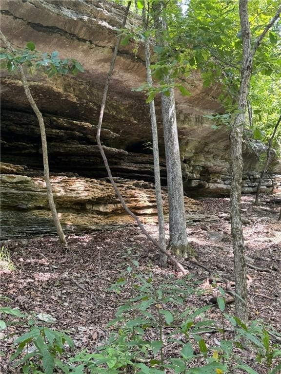 190 Edgewater Dr, Eureka Springs, AR 72631 - photo 20
