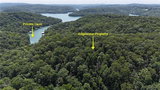 190 Edgewater Dr, Eureka Springs, AR 72631 - photo 34
