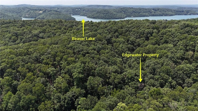 190 Edgewater Dr, Eureka Springs, AR 72631 - photo 35