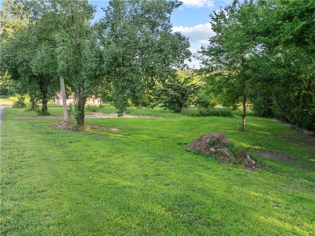 101 Circle Dr, Lead Hill, AR 72644 - photo 6
