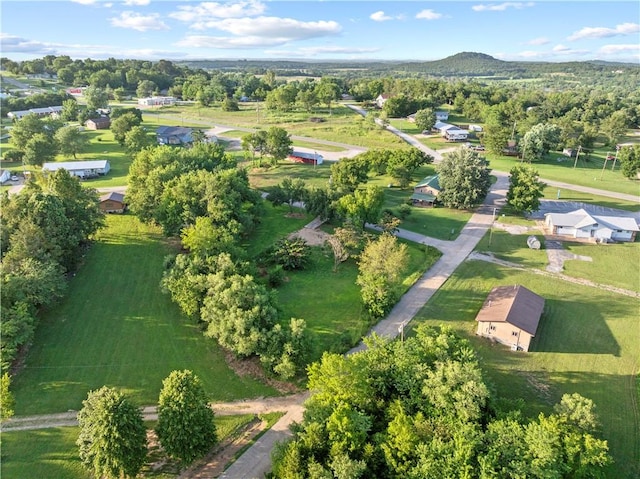 101 Circle Dr, Lead Hill, AR 72644 - photo 7