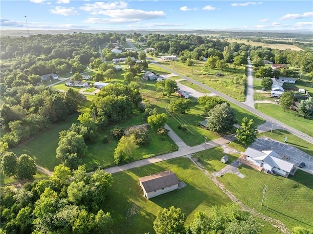 101 Circle Dr, Lead Hill, AR 72644 - photo 8