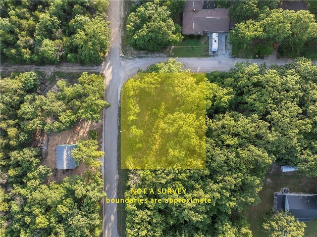 LOT1 Diamond Point Blvd, Diamond City, AR 72644 - photo 2