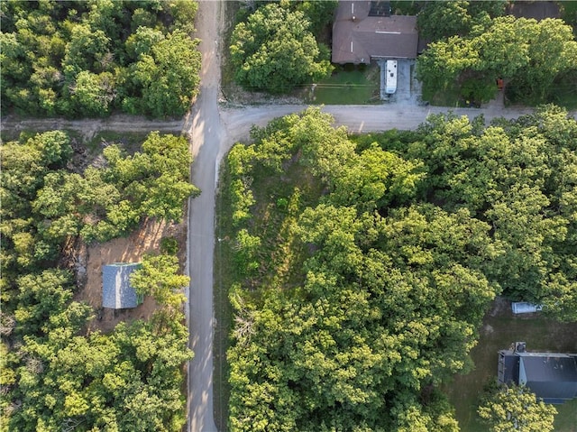 LOT1 Diamond Point Blvd, Diamond City, AR 72644 - photo 3