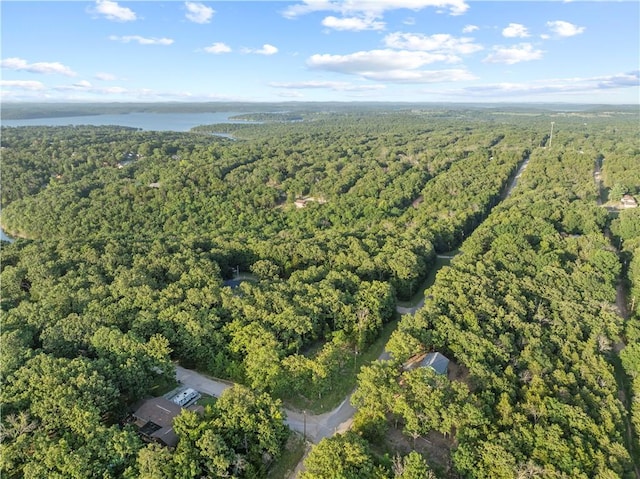 LOT1 Diamond Point Blvd, Diamond City, AR 72644 - photo 4