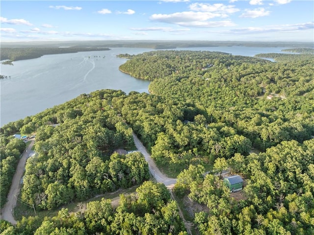LOT1 Diamond Point Blvd, Diamond City, AR 72644 - photo 5