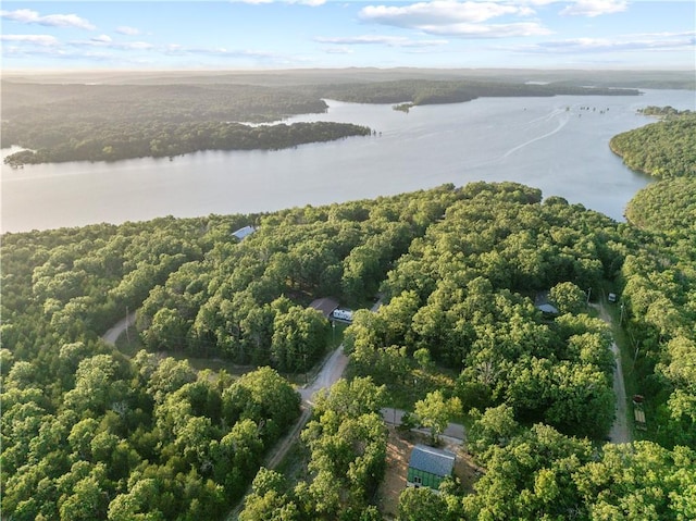 LOT1 Diamond Point Blvd, Diamond City, AR 72644 - photo 7
