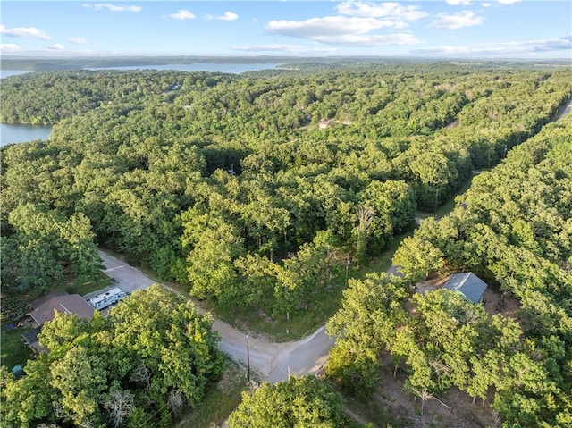 LOT1 Diamond Point Blvd, Diamond City, AR 72644 - photo 8