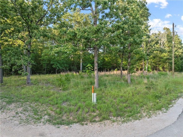 LOT1 Diamond Point Blvd, Diamond City, AR 72644 - photo 9