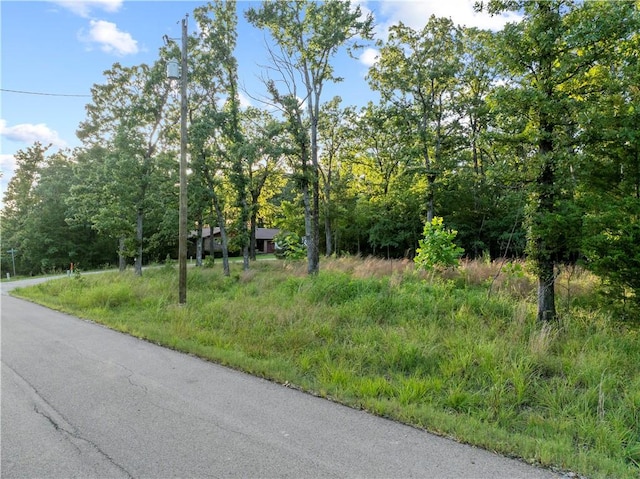 LOT1 Diamond Point Blvd, Diamond City, AR 72644 - photo 10