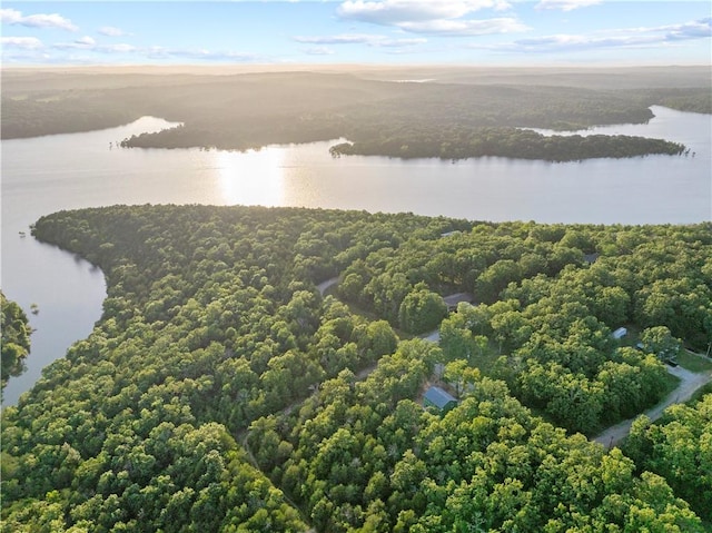 LOT1 Diamond Point Blvd, Diamond City, AR 72644 - photo 11