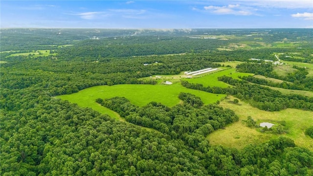 W Mountain Rd, Decatur, AR 72722 - photo 5