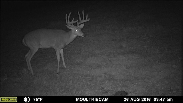 W Mountain Rd, Decatur, AR 72722 - photo 9