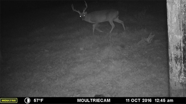 W Mountain Rd, Decatur, AR 72722 - photo 10