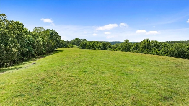 24451 Mount Zion Rd, Sulphur Springs, AR 72768 - photo 43