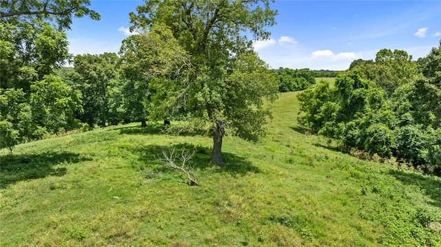24451 Mount Zion Rd, Sulphur Springs, AR 72768 - photo 46