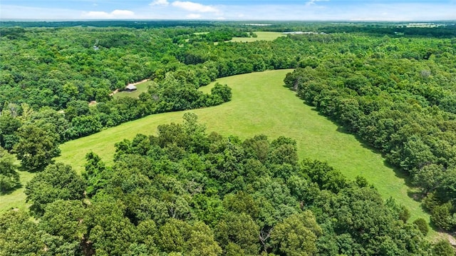 24451 Mount Zion Rd, Sulphur Springs, AR 72768 - photo 48