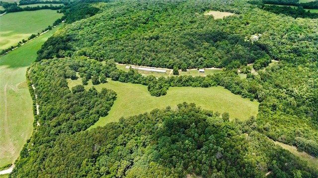24451 Mount Zion Rd, Sulphur Springs, AR 72768 - photo 53