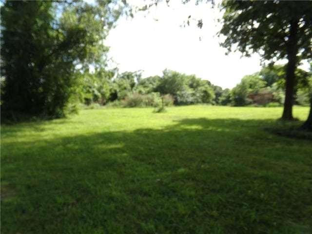 250 Garner Rd, Goodman, MO 64843 - photo 4
