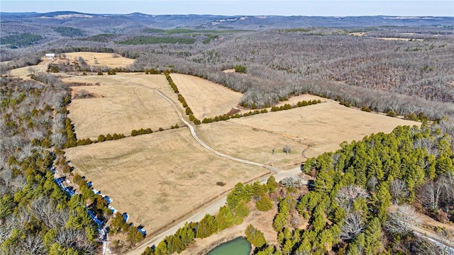 6128 Dabney Rd, Jerusalem, AR 72080 - photo 3