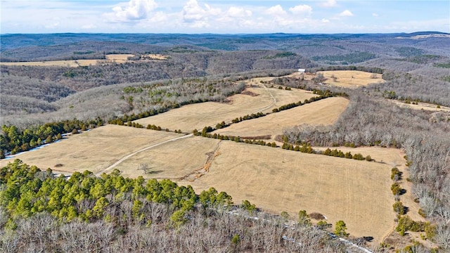 6128 Dabney Rd, Jerusalem, AR 72080 - photo 4