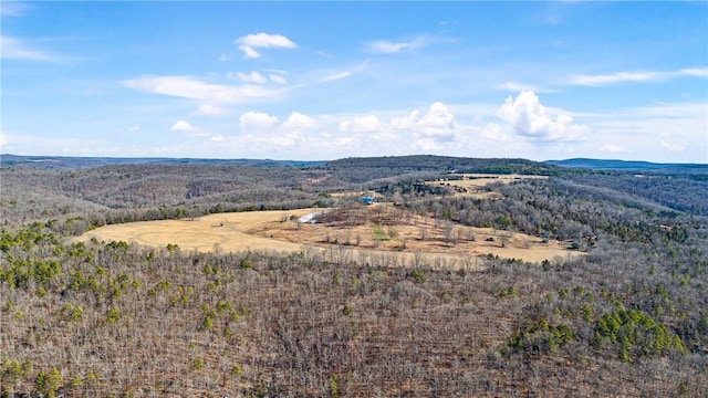 6128 Dabney Rd, Jerusalem, AR 72080 - photo 29
