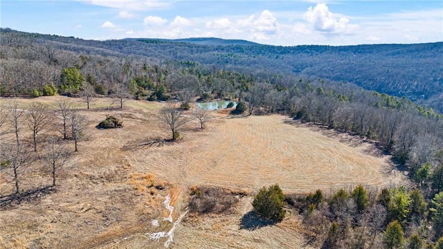 6128 Dabney Rd, Jerusalem, AR 72080 - photo 30