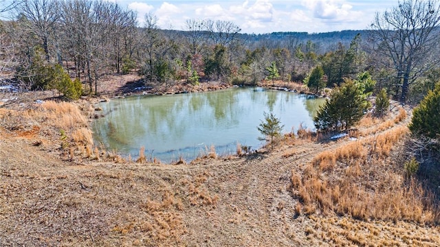 6128 Dabney Rd, Jerusalem, AR 72080 - photo 31